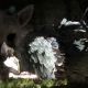 The Last Guardian перенесена на декабрь
